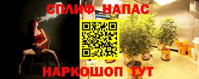 спиды Краснодар