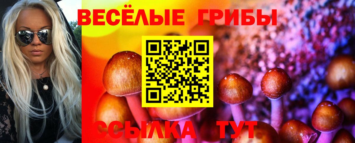 где купить наркоту  Вход с VPN  Костомукша  Псилоцибиновые грибы мухоморы  Галлюциногенные грибы Cubensis 
